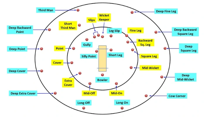 Cricket Field Positions