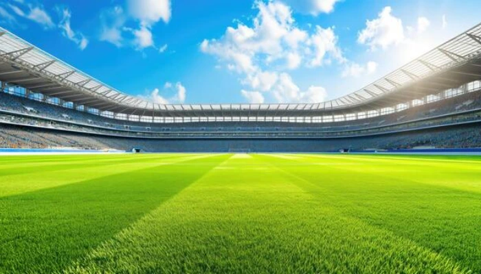 Cricket Stadium