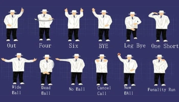 Cricket Umpire Signalling