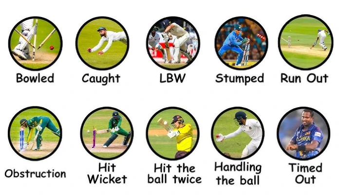 Cricket Wicket Dismissal