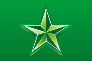 Melbourne Stars crest